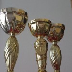 Ripsiteknikko-Kouluttaja Helenin pokaalit